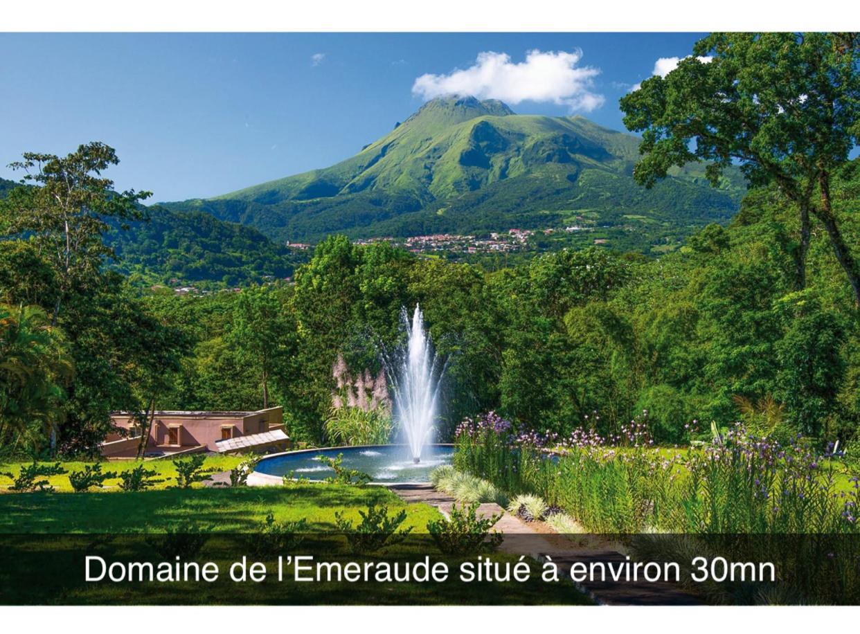 Le Ketmie Nature Et Decouverte Fond-Saint-Denis Eksteriør billede